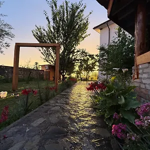 Meti Krujë